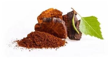Chaga Pilz Pulver 100 g